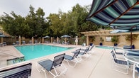 This outdoor pool area at 4260 Palm in San Diego offers a well-maintained and thoughtfully designed recreational space suitable for relaxation and leisure. The centerpiece is a generously sized swimming pool with clear turquoise water, complemented by an adjacent spa, both enclosed within a secure metal fence supported by brick-faced columns topped with globe light fixtures.

The surrounding deck provides ample space for lounging, furnished with multiple blue-and-white sling-style chaise lounges and side tables arranged along the poolside. Additional seating areas feature round glass-top tables paired with matching chairs, shaded by large striped umbrellas and a fixed striped awning overhead. A pergola structure on one side adds architectural interest and partial shade near the spa area.

A covered utility area adjacent to the deck includes a vending machine and a printer station, adding everyday convenience to the space. Potted tropical plants and manicured hedges contribute to the landscaping throughout. A gated entry with globe-lit brick pillars and trimmed shrubs provides a welcoming and secure access point. Mature trees lining the perimeter create a natural, enclosed ambiance, offering privacy and shade throughout the space.