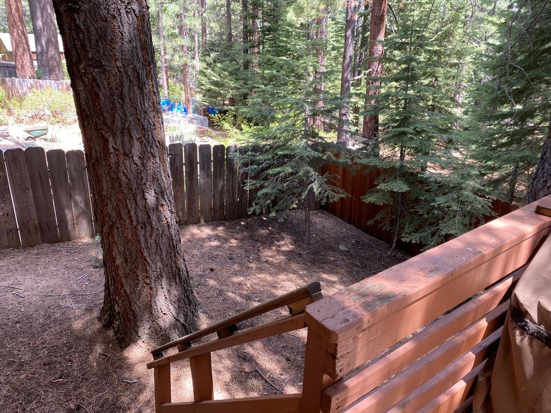 Primary Photo - Seasonal Furnished Rental