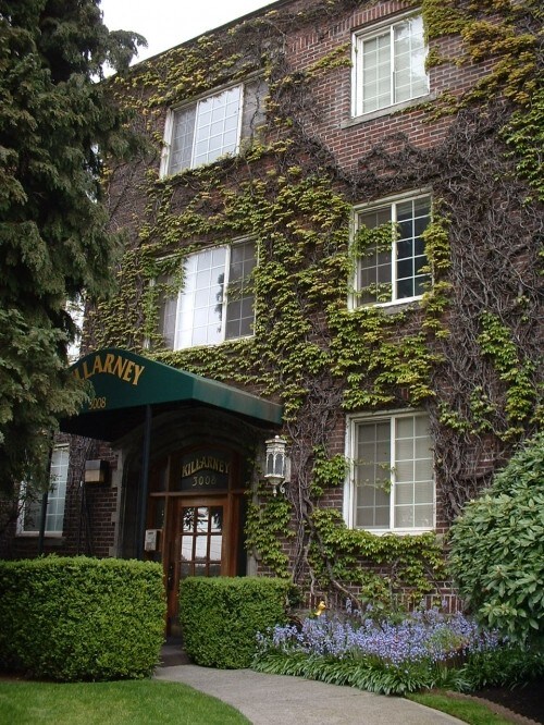 Primary Photo - Killarney - 1 bedroom