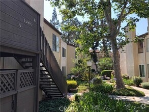 Building Photo - 1240 Cabrillo Park Dr