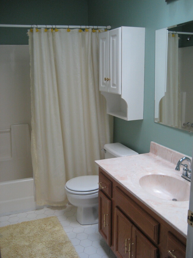 The second bath has a skylight allowing for plenty of natural light. There is a linen closet just outside the door on the upstairs landing. - 602 Creekvalley Rd.