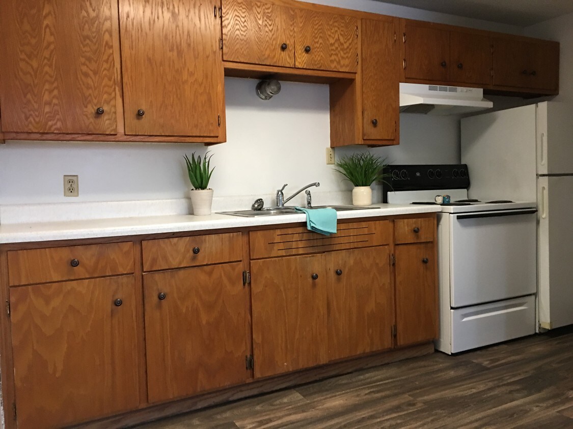 2 Bed, 1 Bath, Pet Friendly, Avail. May 1 - 253 3rd Ave NE