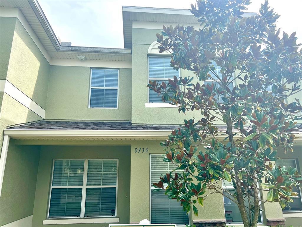 9733 Trumpet Vine Loop, Trinity, FL 34655 Townhome Rentals in Trinity FL