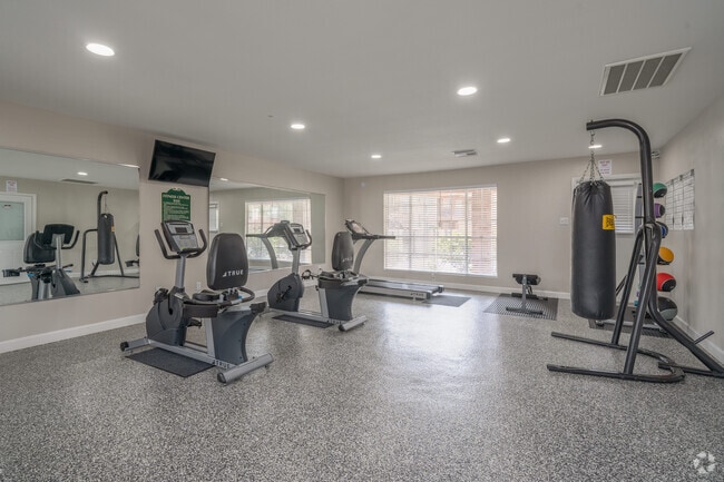 Fitness Center - The Forest