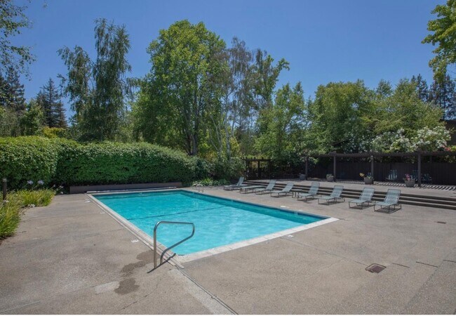Pool and Club house area - 1290 Sharon Park Dr