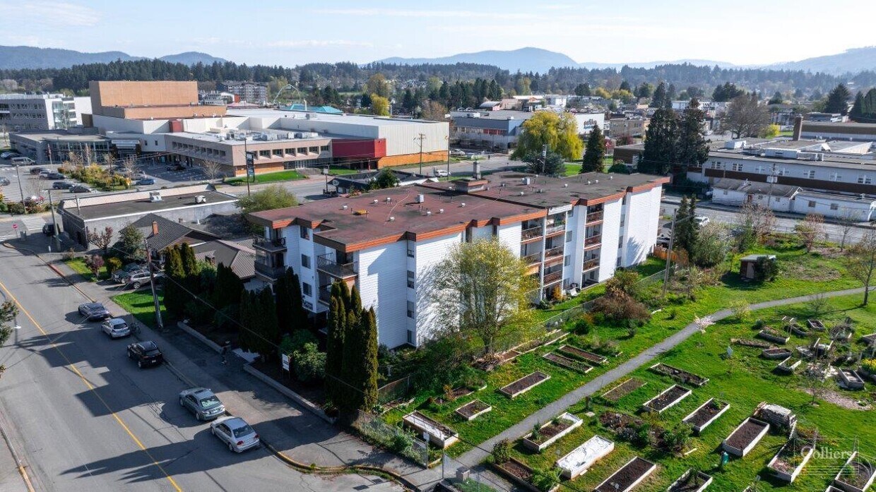Primary Photo - Mainstreet Duncan Apartments
