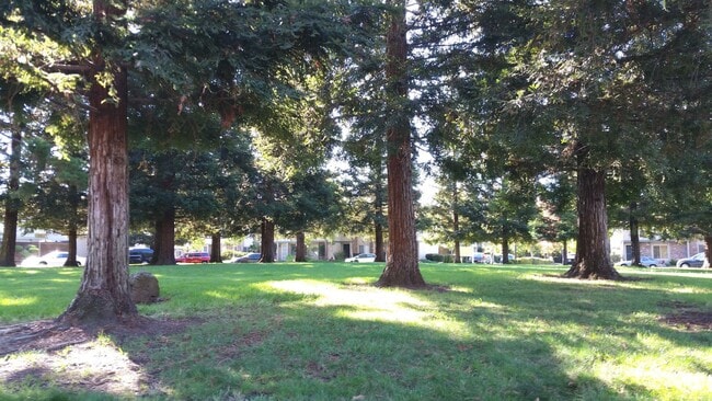 Photo - Lovely updated 3 bedroom, 2 bath condo