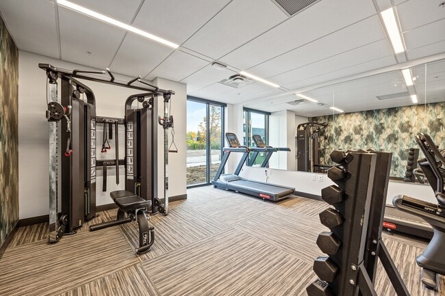 Building Photo - The Theodore Apartments 55+