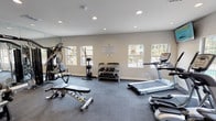 This fitness center is a thoughtfully designed, single-floor workout facility offering a comprehensive range of exercise equipment to support diverse training needs. The space features a dark, low-pile carpet flooring that provides both comfort and durability underfoot, while recessed lighting throughout the ceiling ensures the room is consistently and evenly lit.

A standout feature is the floor-to-ceiling mirror wall, which expands the visual depth of the room and allows users to monitor their form during workouts. Multiple windows along the exterior wall flood the space with natural light and offer views of the surrounding outdoor environment, creating an open and energizing atmosphere.

The strength training area is equipped with a multi-station cable machine, an adjustable weight bench, a leg extension/curl machine, and a well-stocked dumbbell rack offering a range of free weights. For cardio, the space includes a True treadmill and a stair climber, providing effective options for aerobic exercise.

The room is accessed through a glass-paneled door, adding a clean, polished aesthetic to the entryway. The neutral, light-toned walls and clean layout contribute to an uncluttered, professional environment well-suited for focused, effective training sessions.