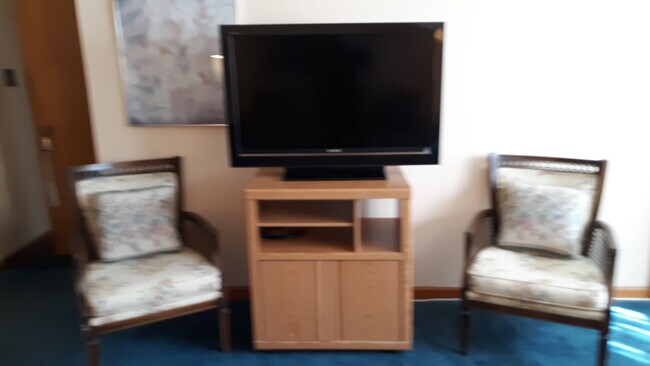 Large TV - 314 Fairview Ave