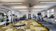 Located at 2785 Polo Club Blvd in Lexington, Kentucky, this single-floor fitness center is a comprehensively outfitted facility designed to support a wide range of workout routines. The space is divided into distinct functional zones, each tailored to a specific type of exercise.

The cardio area features a row of modern treadmills and elliptical machines positioned along windowed walls, allowing natural light to fill the space while providing an open, airy atmosphere. Overhead linear lighting and ceiling fans ensure consistent comfort throughout.

The strength training zone is equipped with a variety of cable and resistance machines, a dedicated free weights section with a full dumbbell rack, adjustable benches, and large wall-mounted mirrors that enhance the sense of space and allow users to monitor their form.

A separate functional training area features rubber mat flooring, spin bikes, medicine balls, stability balls, and a standing punching bag, offering a versatile space for high-intensity and group-style workouts. A wall-mounted TV is also present in this zone.

Throughout the facility, the flooring transitions between a distinctive green, tan, and brown patchwork tile in the main areas and dark rubber matting in the functional training zone. The white walls, abundant windows with shutters, and ceiling fans contribute to a clean, well-ventilated environment suited for focused, effective training sessions.