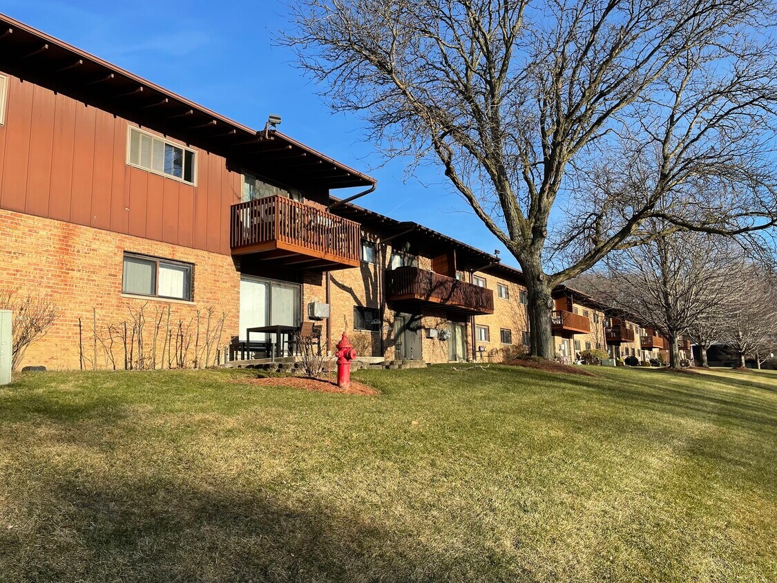 100 Willow Ln Unit B111, Willow Springs, IL 60480 Condo for Rent in