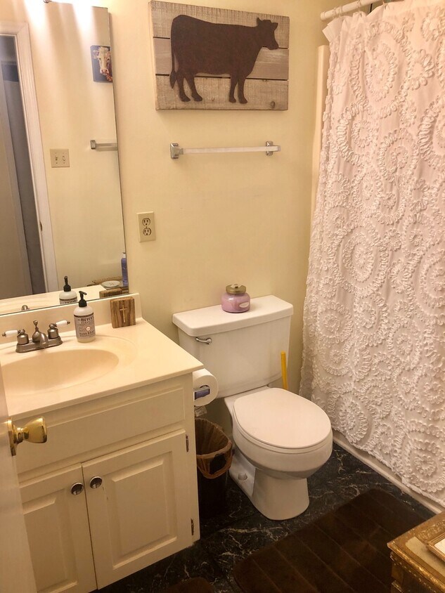 Foto principal - Cute cottage next to campus!