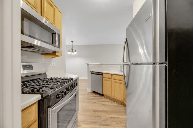 Building Photo - Beautiful 2 bedroom condo