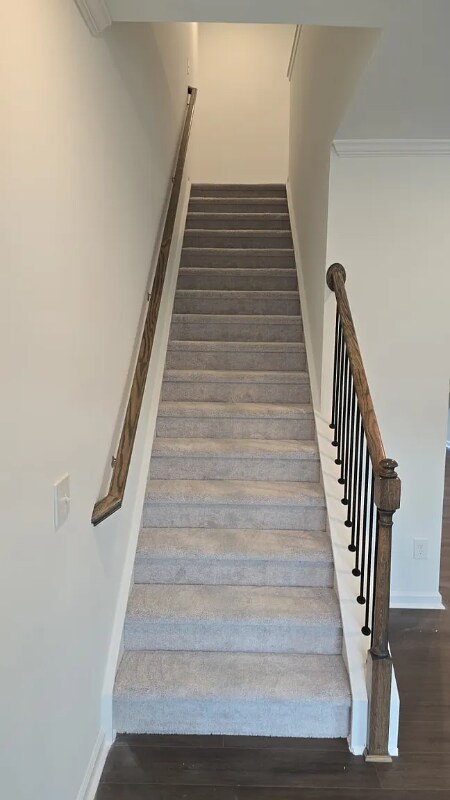 Foto del edificio - 808 Basswood Gln Trl