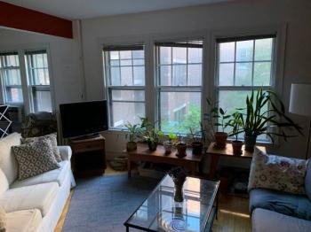 Primary Photo - 2 bedroom in Cambridge MA 02138