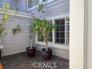 Building Photo - 15 Elderberry