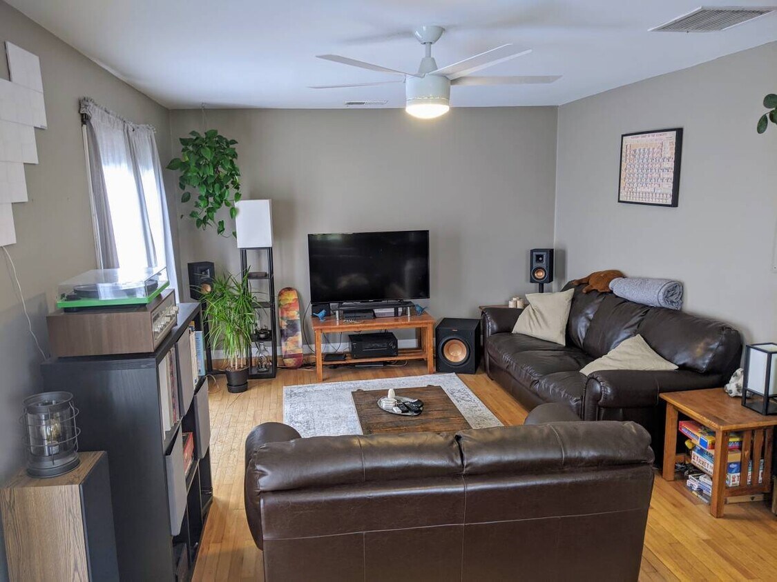 Living area - is open plan with kitchen, dining and living - 1813 Oliver Ave