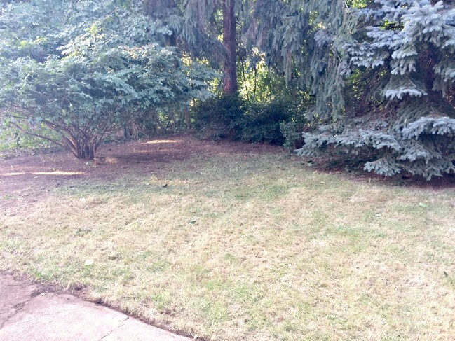 Foto del edificio - 4008 Beechwood Blvd