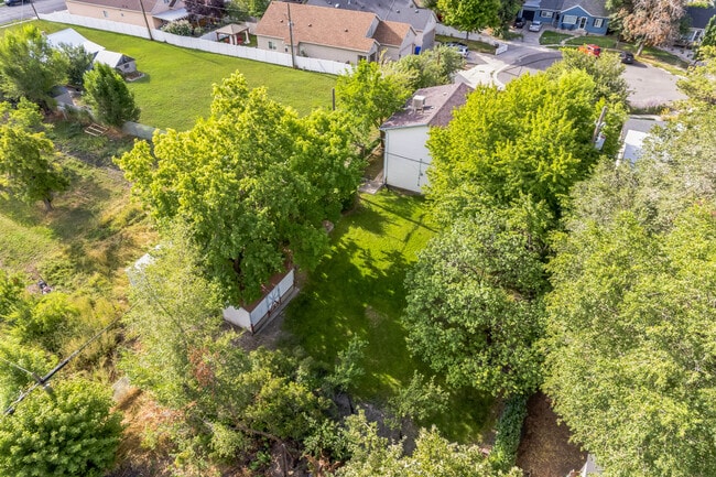Areial of back yard - 401 E Maxwell Ln