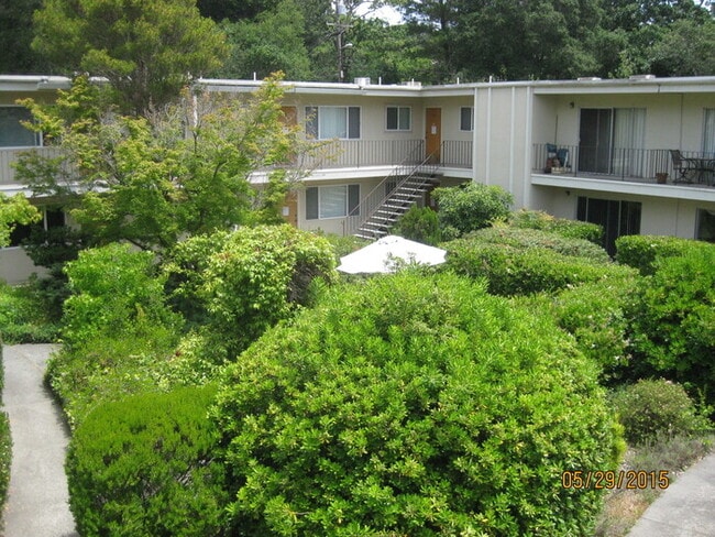 Building Photo - 3366 Mendocino Ave