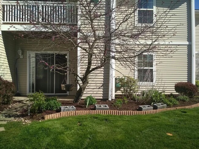 Patio view - 4108 Lenox Oval