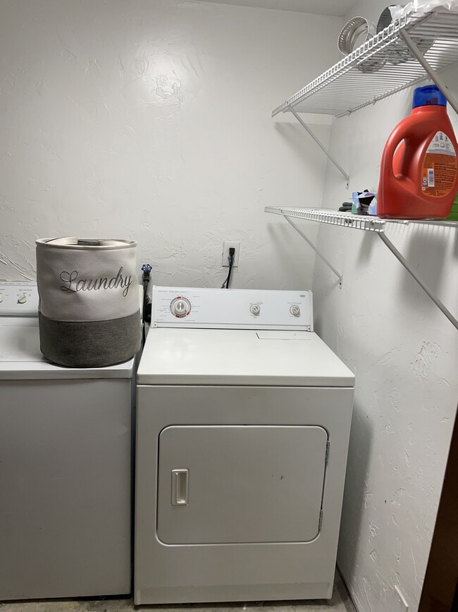 Laundry room - 1133 Bingham Ave