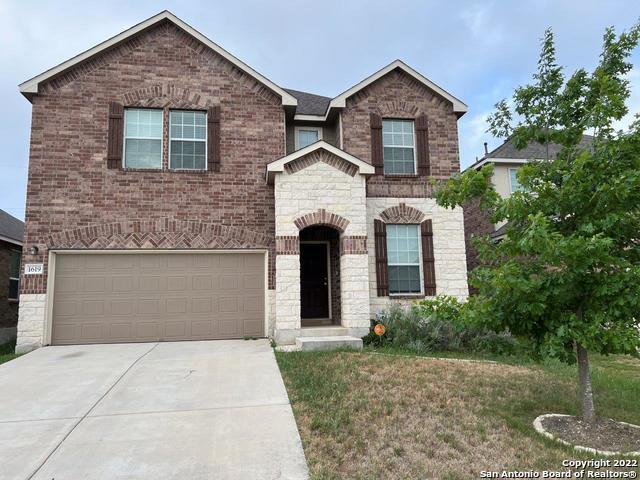Foto principal - 1619 Crown Daisy