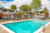 Located at 1901 Halford Ave in Santa Clara, California, this outdoor amenity space centers around a generously sized, rectangular swimming pool with crystal-clear turquoise water. The pool is framed by a wide, aggregate concrete deck that provides ample room for lounging and socializing. A collection of sling-style chaise lounges and chairs are arranged along the pool's perimeter, offering comfortable spots for relaxation, while a vibrant orange patio umbrella shades a seating area with table and chairs — ideal for outdoor dining or gathering.

The space is thoughtfully landscaped, with a striking row of tall Italian cypress trees lining one side of the enclosure, creating a natural privacy screen and an elegant vertical element. Ornamental trees with seasonal foliage, including striking red Japanese maples, add color and visual interest throughout the area. A modern horizontal wood fence and metal security fencing enclose the pool area, ensuring privacy and safety.

An adjacent low-rise building with large windows is visible, integrating the pool area seamlessly into the broader residential community. The overall ambiance is one of a well-appointed, resort-inspired outdoor retreat — clean, functional, and inviting — making it a standout amenity within the Santa Clara community.