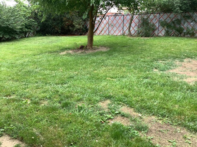 Foto del edificio - 599 S Sunset Dr