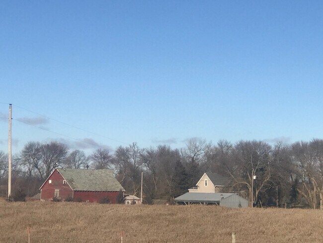 Yard and buildings - 20635 462nd Ave