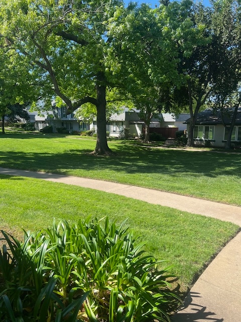 Building Photo - 8915 Salmon Falls Dr