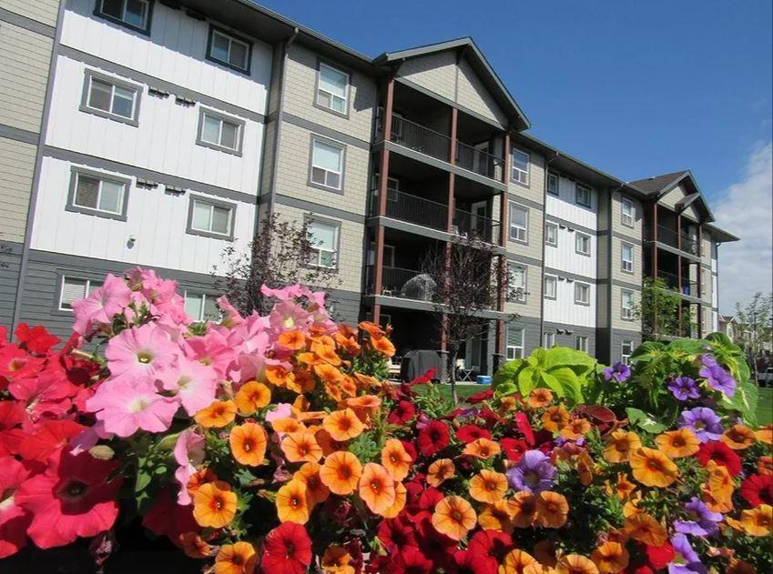 Photo principale - King's Heights