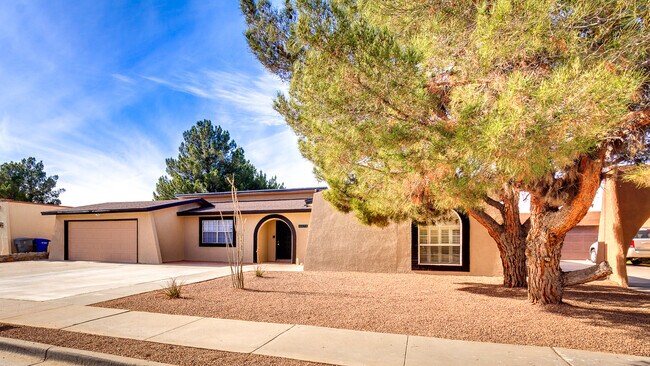 Foto del edificio - Upper Valley of West El Paso Rental Home