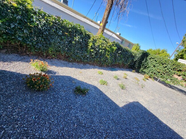 patio trasero #1 detrás de la casa - 3224 S Verdant Cir