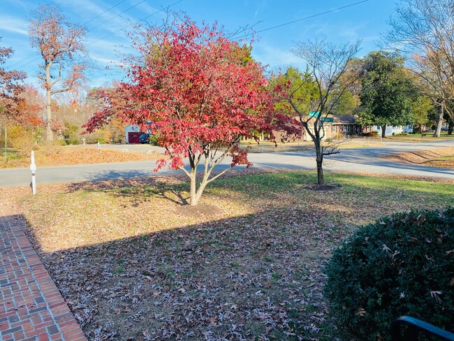 Building Photo - Beautifully Renovated 3bdrm/2.5bth Tri-Lev...