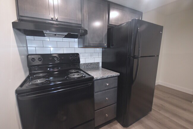 2 BD Remodel Kitchen - Waveland Place Apartments