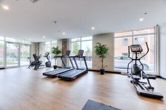 Gym - Le Celtis