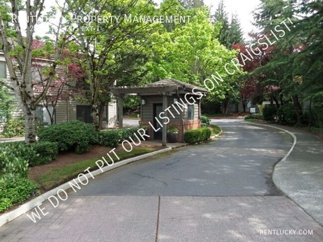 Building Photo - Super-Cute and LARGE Top Floor Condo in So...