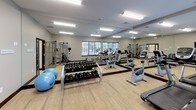 This fitness center offers a comprehensive and well-organized workout environment spread across a single floor. The space is designed with functionality and openness in mind, featuring light hardwood-style flooring throughout that lends a clean, modern aesthetic to the room.

The main workout area is generously sized and lined with large floor-to-ceiling mirrors along one wall, which amplify the sense of space and allow users to monitor their form during exercise. Bright overhead fluorescent lighting ensures the entire area is well-illuminated at all times.

Cardio equipment is prominently featured, with multiple treadmills, elliptical trainers, and a stationary bike positioned to take advantage of the natural light streaming in through the windows fitted with horizontal blinds. A dedicated free weights section includes a full dumbbell rack with a range of weights, complemented by stability balls for functional training.

A separate adjoining area, accessible through a glass-paned French door, houses a multi-function cable machine and an adjustable weight bench, providing a more focused space for strength and resistance training. This section connects to a hallway where contemporary artwork is displayed, adding a refined touch to the facility.

Overall, the fitness center strikes a balance between professional-grade equipment and a welcoming atmosphere, making it suitable for a wide variety of workout routines.