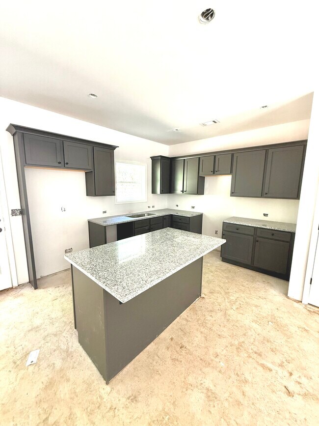 Cocina amplia con encimeras de granito e isla. Amplio espacio de almacenamiento. - Stephens Court