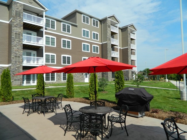 Pícnic al aire libre - Connect55+ Elkhorn Active Community 55+