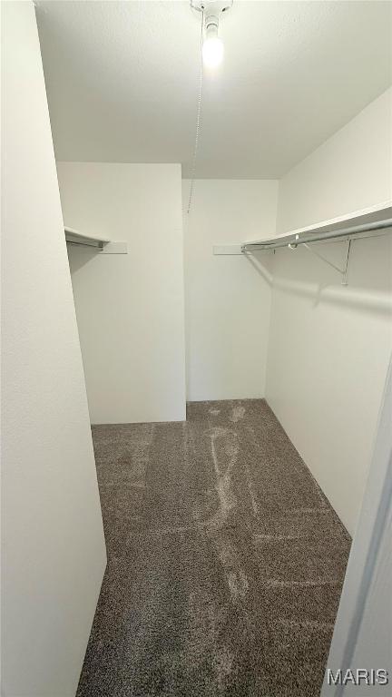 Foto del edificio - 1464 Hawks Nest Ct