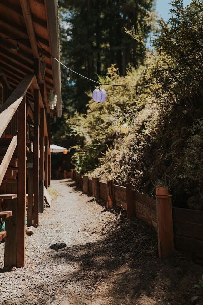 Foto del edificio - Sunlit Sanctuary in the Redwoods