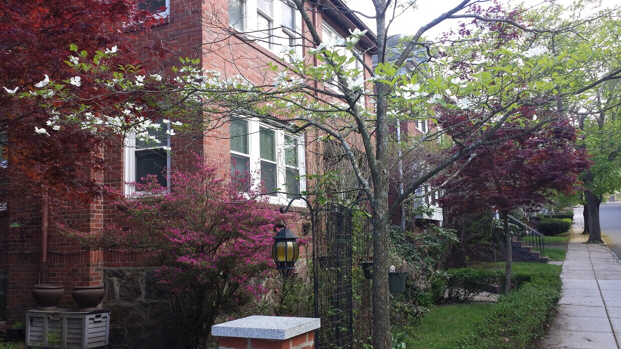 Frente de la casa - 31 Greycliff Rd