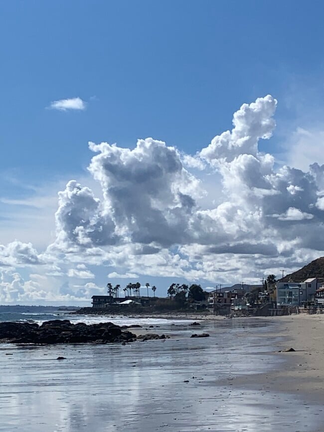 Springtime - 20852 Pacific Coast Hwy