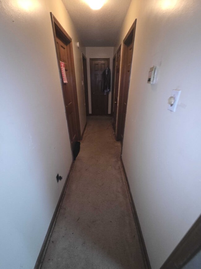 Photo - 5011 Ridge Tree Dr (Memphis, TN) House