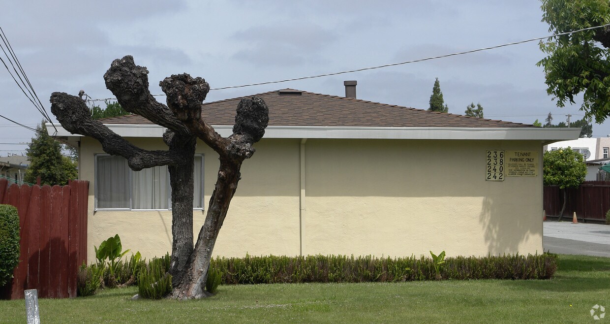 Foto del edificio - 236-242 Poplar Ave
