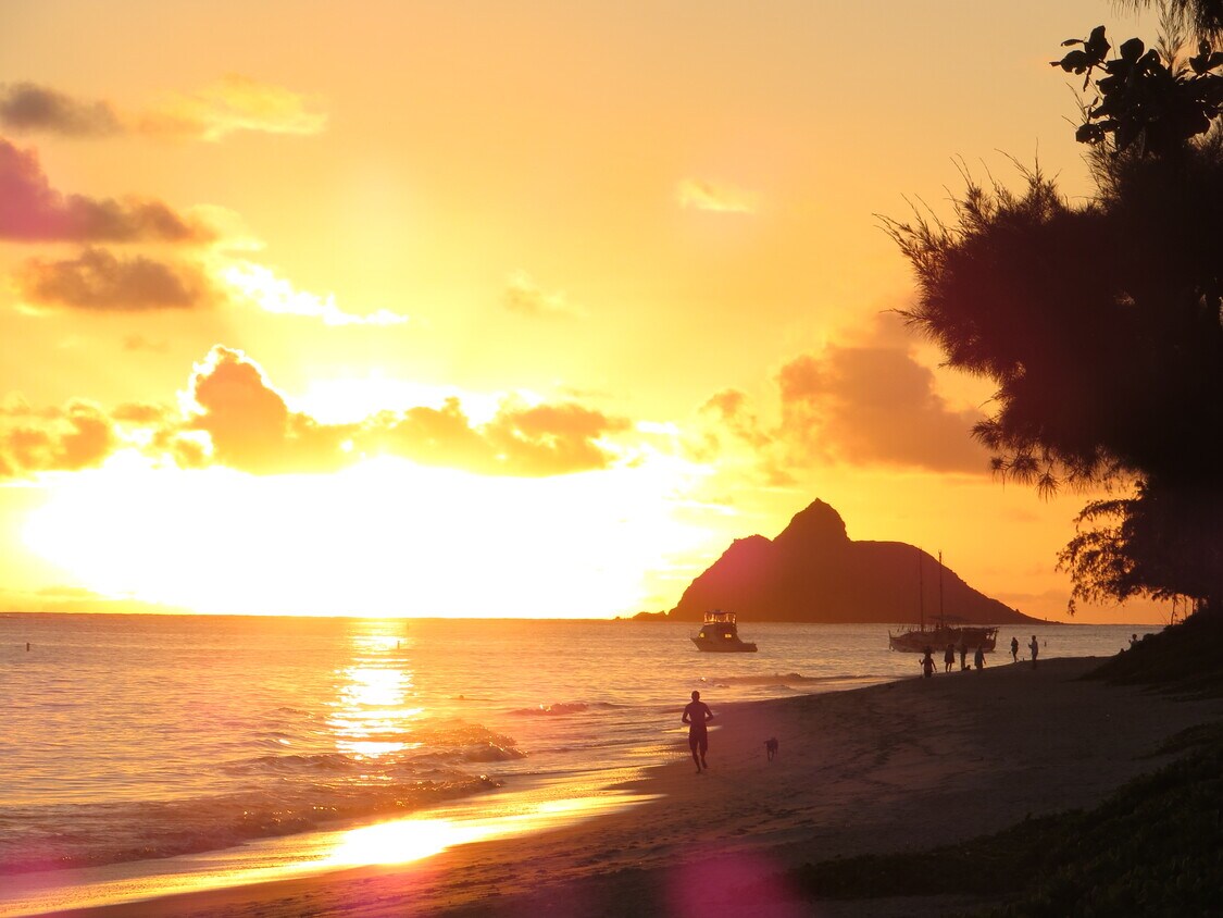 Kailua Sunrise off our path - 202 S Kalaheo Ave