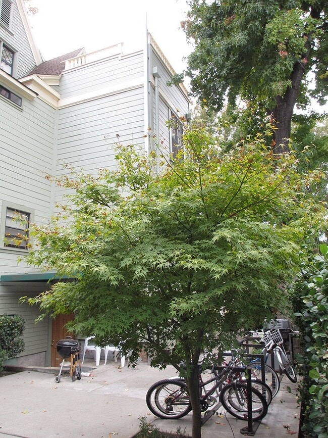 Building Photo - 512 W 3rd St